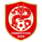 中国国家男子足球队2026年队徽 - 红色巨龙图案